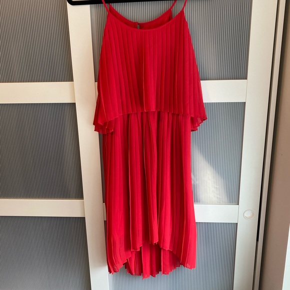 Express pleated dress
